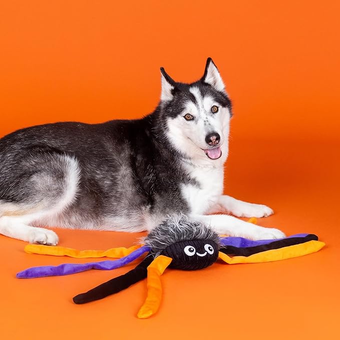 Fringe Studio Large Plush Dog Toy, TRAPPIN’ Flies PetShop Collection (728011)