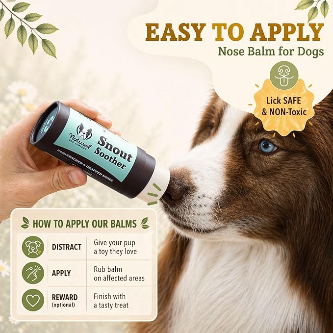 Natural Dog Company Snout Soother Dog Nose Balm – Moisturizing Care for Dry, Crusty, Cracked Noses with Coconut Oil & Shea Butter, Lick Safe Dog Snout Balm for All Breeds - 2 oz Stick
