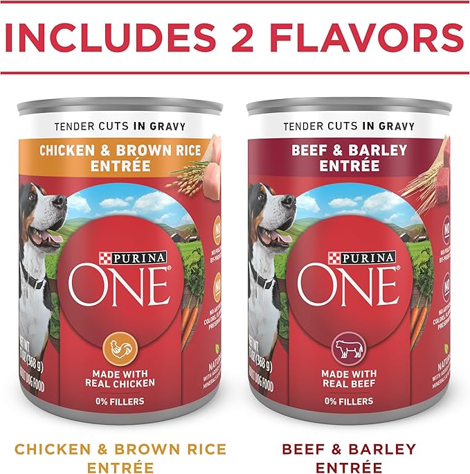 Purina ONE Tender Cuts in Gravy Chicken and Brown Rice and Beef and Barley Entrees High Protein Wet Dog Food Variety Pack - (Pack of 2) 13 oz. Cans
