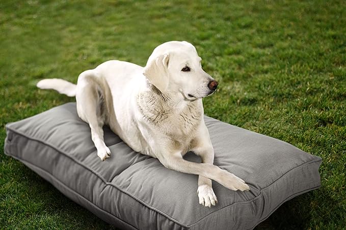 Sunbrella Double Sided Dog Bed for Indoor/Outdoor,Washable Cover & Chew Proof, Pets Mat for Multipurpose, Easy Care & Pet Safe Products (Small, Polyester, Dove, 26”x18”x 3")