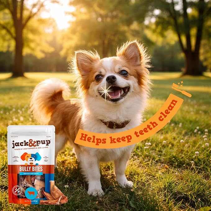 Jack&Pup Bully Stick Bites- 10 oz - Small Dog Treats for Medium & Small Dogs, All Natural, Beef Pizzle Single Ingredient for Puppies