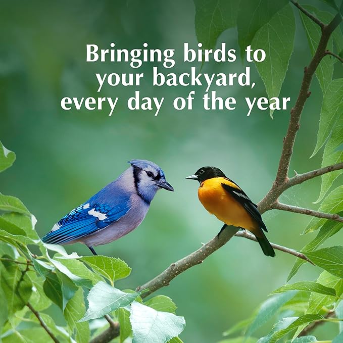 C&S Oriole Delight No Melt Suet Dough, Suet Cakes for Wild Birds Including Orioles and More, 11.75 Ounces, Pack of 8