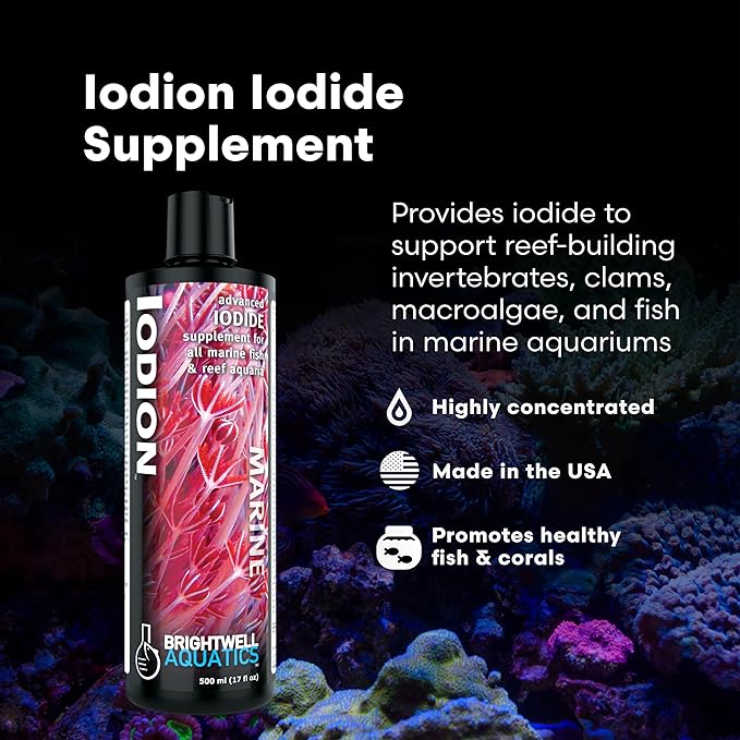 Brightwell Aquatics Iodion Iodide Supplement for Corals Clams Fish Macroalgae Enhances Polyp Extension Lighting Tolerance in Reef Marine Aquariums, 20L