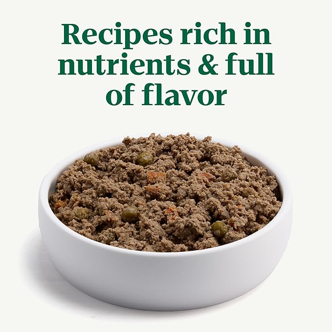 Nutro Natural Choice Premium Loaf Canned Dog Food, Adult Wet Dog Food Lamb Recipe 12.5 oz. cans (12 Count)