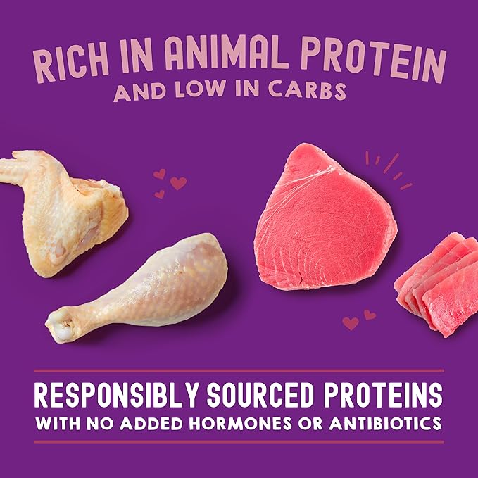 Stella & Chewy's Carnivore Cravings Wet Cat Food - Premium Pouches - Grain Free, High Protein Chicken & Tuna - Perfect for Picky Eaters - Complete Meal or Topper (2.8 oz, 12 Pack)