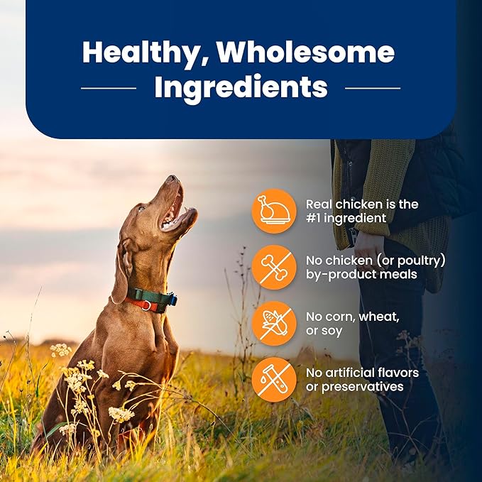 Blue Buffalo Life Protection Formula, Large Breed Adult Dry Dog Food, Made with Natural Ingredients, Chicken & Brown Rice, 40lb Bag