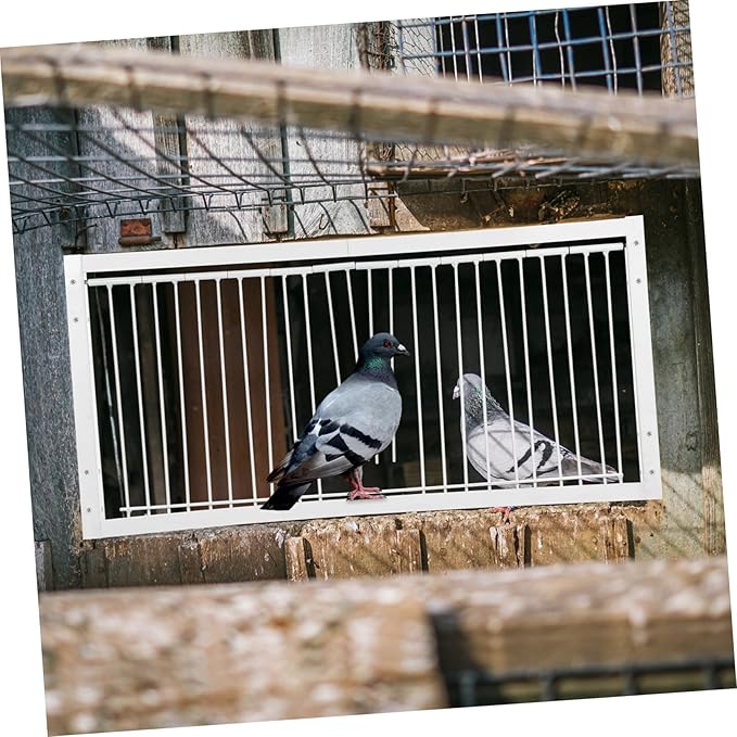 Racing Pigeon Durable Encrypted Bird Cage Entrance for Pigeon Loft Enhanced Safety for Competitive Pigeon Racing and Jumping Events for Reliable Use