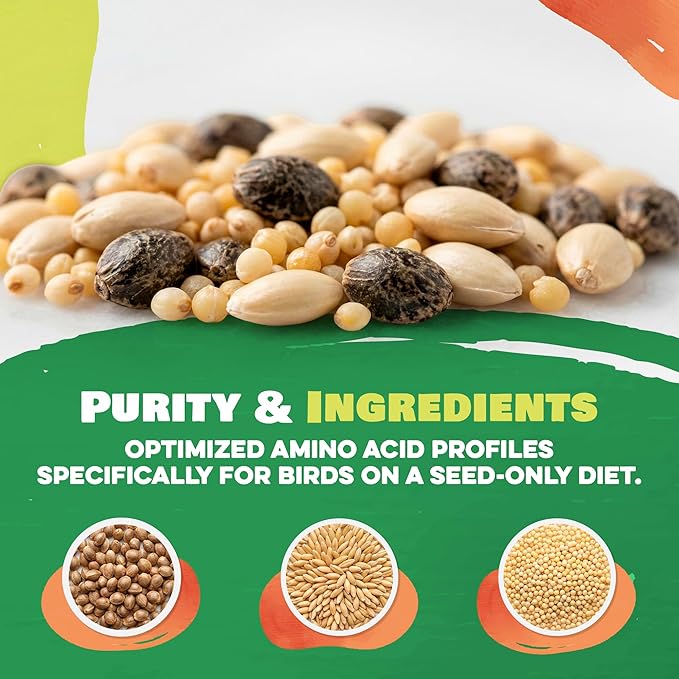 Bird Street Bistro Premium Bird Seed Mix – Natural Foraging Food for Parrots, Conures, African Greys & Cockatiels – Healthy Whole Grain Parrot Food, No Fillers or Additives – 11oz Bag