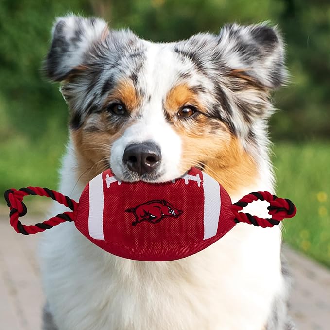 Pets First NFL Unisex NFL Nylon Football