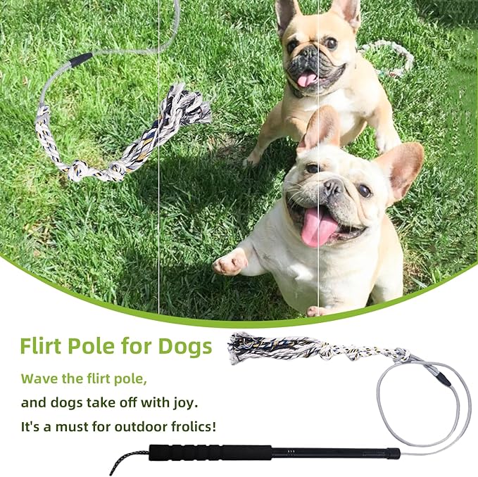 Flirt Pole for Dogs Interactive Dog Toys Durable Heavy Duty Dog Flirt Pole Suitable for Small and Medium Dogs Great Exercise and Training Tool Multifunction Dog Enrichment Toys