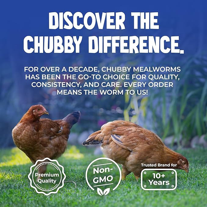 Chubby Dried Black Soldier Fly Larvae | 11 lbs | Non-GMO High-Protein Insect Treat for Chickens, Ducks & Wild Birds – Calcium-Rich Chicken Feed