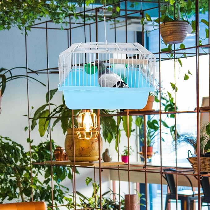 Portable Small Bird Travel Cage with Perch, Food Box, and Water Dispenser, Mini Parakeet Carrier Cage for Indoor and Outdoor Use, Blue