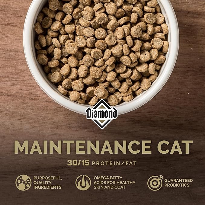 Diamond Maintenance Cat Dry Food 30/15 for Moderately Active Adult Cats 6lb Bag