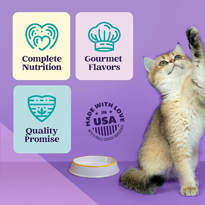 A Strong Heart Wet Cat Food, Chicken & Shrimp Shreds in Gravy, Made with Whole Muscle Chicken, Made in the USA, 3oz Can (Pack of 24)