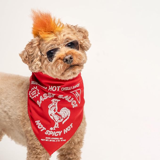 Sriracha Hot Sauce Dog Bandana | 100% Cotton Triangle | Made in USA | Simple Halloween Costume | Funny Condiment Labels | Asian Inspired Food Matching Accessory | Red (1155)