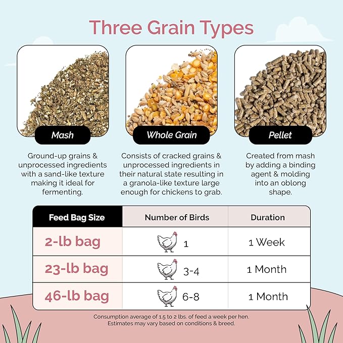Mile Four Organic Chicken Feed – Layer Mash, Non-GMO, USA Grown, 16% Protein, Corn-Free, Soy-Free, Non-Medicated Feed for Chickens, 2 lbs Sample
