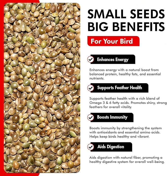 Morning Bird Hemp Seeds 1.5 lbs – Natural Superfood Seed – High in Natural Protein, Healthy Fats, Omega 3 and 6 Fatty Acids, Delicious Natural Flavor, Supports Feather Growth & Overall Health