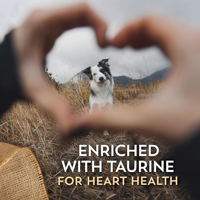 Wholesomes Sensitive Skin & Stomach Dry Dog Food, Salmon Protein & Brown Rice Recipe, Ancient Grains & Omega Fatty Acids for Digestive Health, 30 lb Bag
