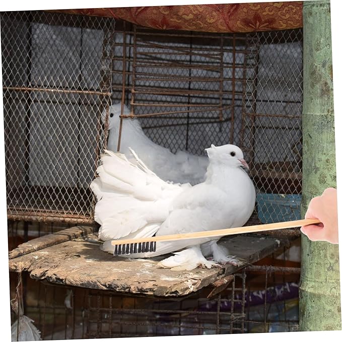 2pcs Bird Cage Cleaning Brush Droppings Cleaner Brush Kit Small Pet Cage Accessories for Bird Supplies Cleaning Tools