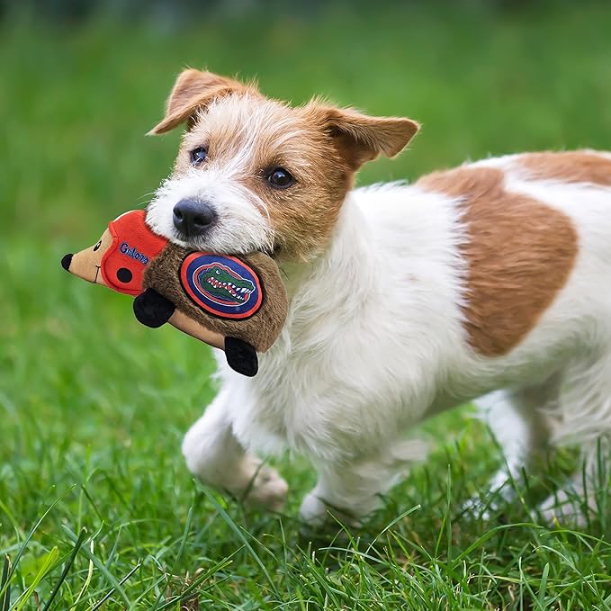 NCAA Florida Gators Plush Hedgehog Toy for Dogs & Cats, Cool Soft Pet Toy for Fun and Interactive Play, Dog Chew Toy with Squeaker, Licensed Hot Pet Toy