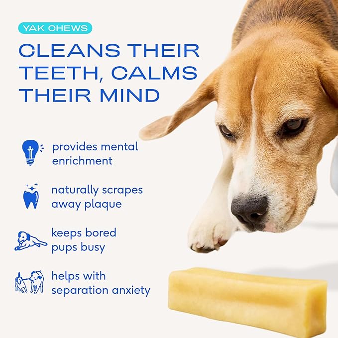 Native Pet Yak Cheese Himalayan Dog Chews - Long Lasting Dental Sticks for Large Breeds – 100% All Natural Himalayan Yak Chews for Large Dogs – Cheese Bone for Aggressive Chewers - 3 Per Pack