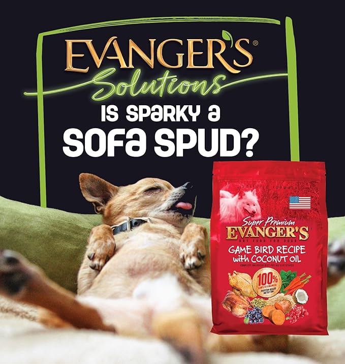 Evanger's Super Gamebird Recipe with Coconut Oil Dry Food for Dogs – 33 lbs – Pea & Chicken Free, Hypoallergenic, Turmeric & Kale Added – Sensitive Stomach Formula for All Life Stages