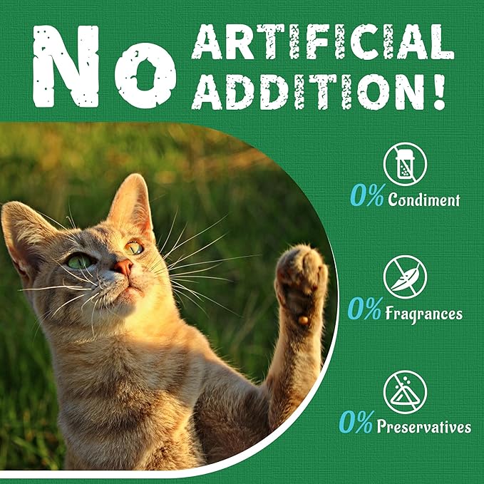 Just Try 16 OZ Kale & Spinach Cat Treats for Indoor Cats, Gluten Free, Low-Calorie Healthy Cat Snacks, Plant-Based Fiber-Rich Natural Chicken Flavor Training Treats