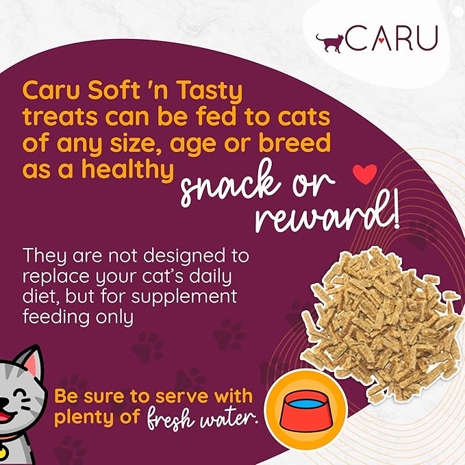 Caru - Soft ‘n Tasty Baked Salmon Bites - Natural Treats for Cats - Supports Muscle & Heart Health - Packed With Protein - Traceable Ingredients - Flavorful - Non-GMO - Made in USA - 3 oz - 1 Pack