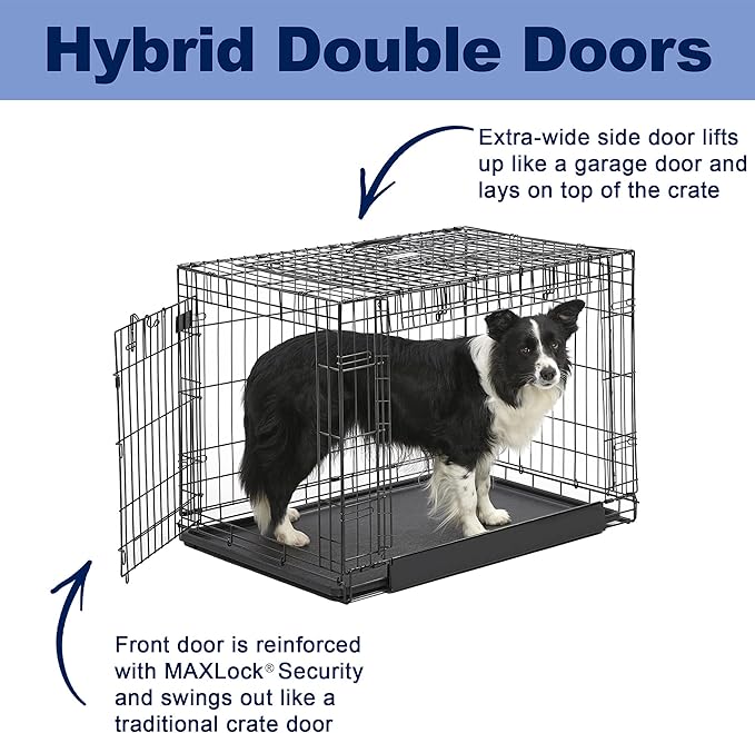 MidWest Homes for Pets Intermediate Ovation Double Door 36-inch Folding Metal Dog Crate, Front and Up & Away Side Doors, Space-Saving Design