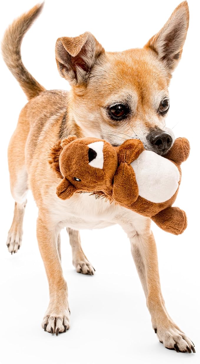 Playology Dog Toys | Plush Squirrel Stuffed Animal for Dogs | Peanut Butter Scented Small Squeaky Toy | Plush Chew Toy for Dogs
