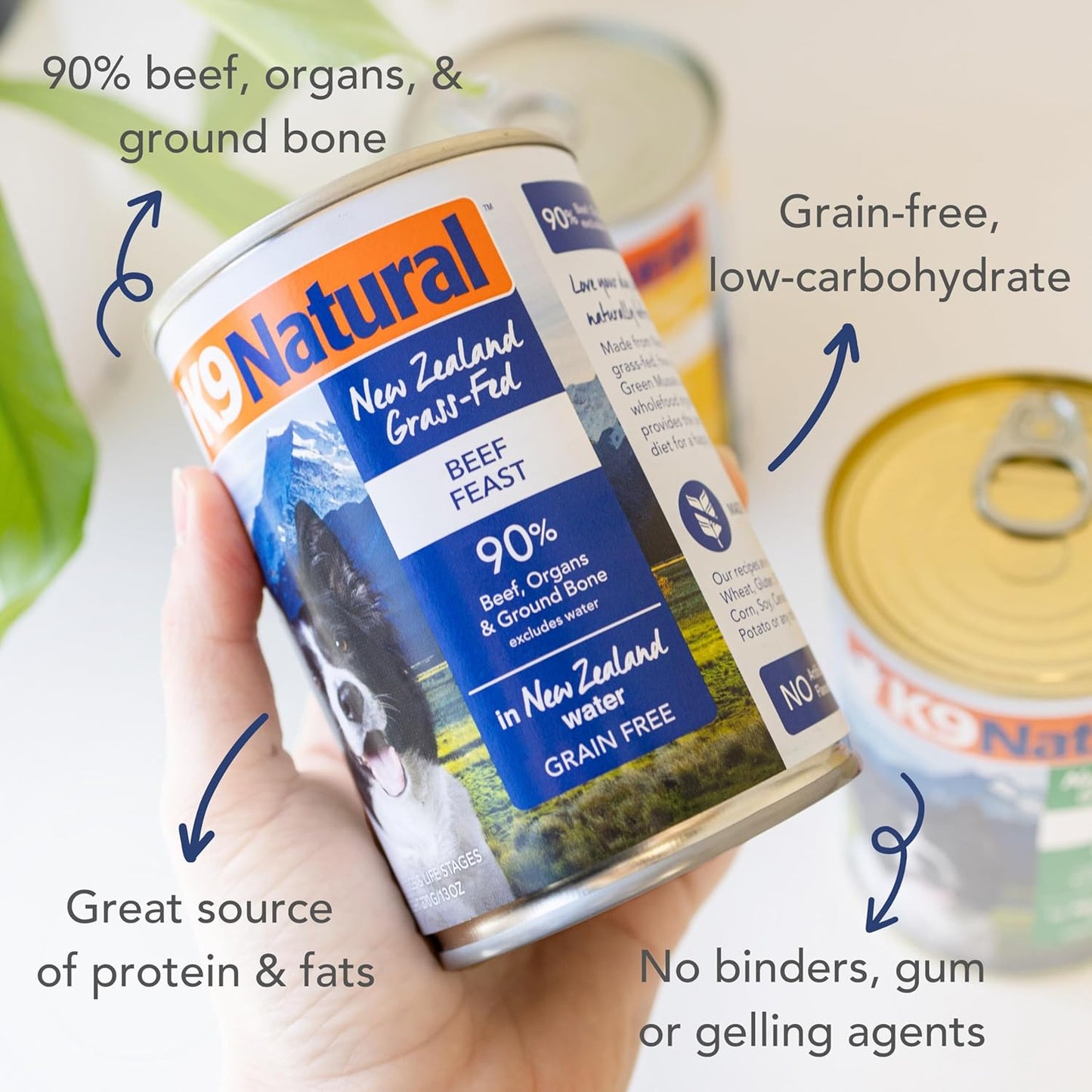 K9 Natural Wet Dog Food Pate, Beef Feast, 13 Oz Cans (Pack of 12), Grain Free, Made in New Zealand with Grass-Fed & Finished Beef, Single Source, Limited Ingredient