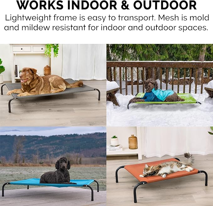 Furhaven Elevated Pet Cots - Cooling & Breathable Nylon Mesh Hammock for Large Dogs/Easy-to-Assemble/Durable and Reinforced/Perfect for Rest & Relaxation Outdoors - Gecko Green, Extra Large