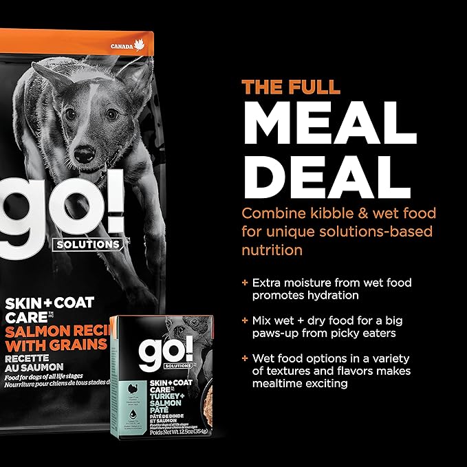 Go! Solutions Skin + Coat Care Salmon Dry Dog Food with Grains, Chicken-Free, Healthy Kibble with Omega-3s & 6s for Soft, Shiny Fur, for Puppies, Adults, & Seniors, 22 lb Bag