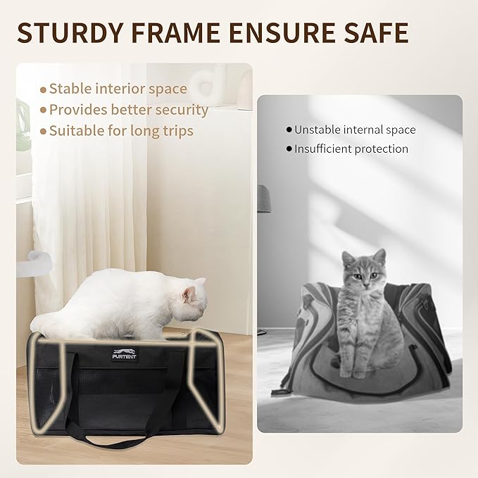 TSA Approved Pet Carrier for Small Cats and Puppies, Soft-Sided and Foldable, Cat and Dog Carrier Fits Pets Up to 15 lbs, Durable Portable Travel Bag with Litter Box (Black, Litter Box & Leash Set)