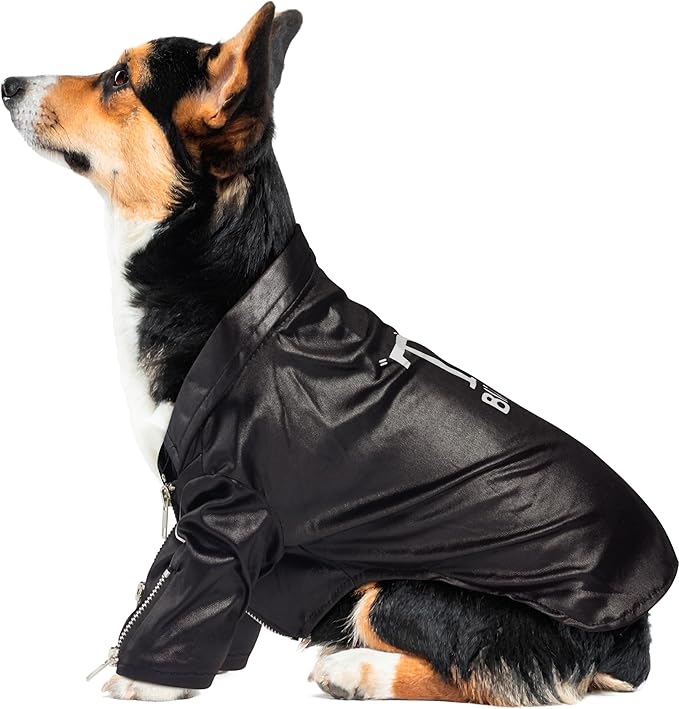 Grease: T-Birds Pet Costume for For Dogs or Cats by Rubies, Large