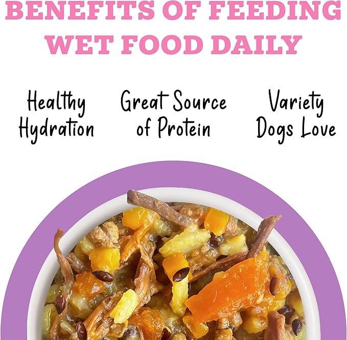 Weruva Awesome Belly Wet Dog Food, Beef & White Rice, 6oz Can (Pack of 8)