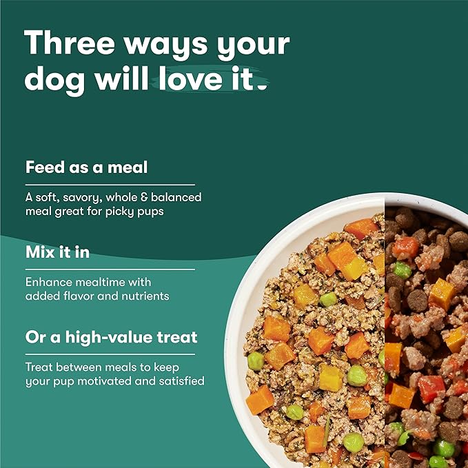 Jinx Salmon Grain Free Wet Dog Food Toppers, Meal or Mix with Dry Dog Food, Made with Real Salmon & Chicken, Bone Broth, No Fillers, Puppy, Adult, Senior, 3oz, 8 Pack
