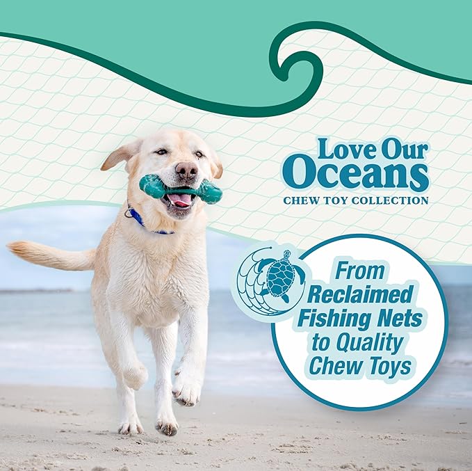 Nylabone Love Our Oceans Infinity Braid Bone Power Chew Toy for Dogs, Recycled & Sustainable Dog Chew Bones, Made in USA, Bully Stick Flavor, Small Dog Toys - Up to 25lbs, 1 Count