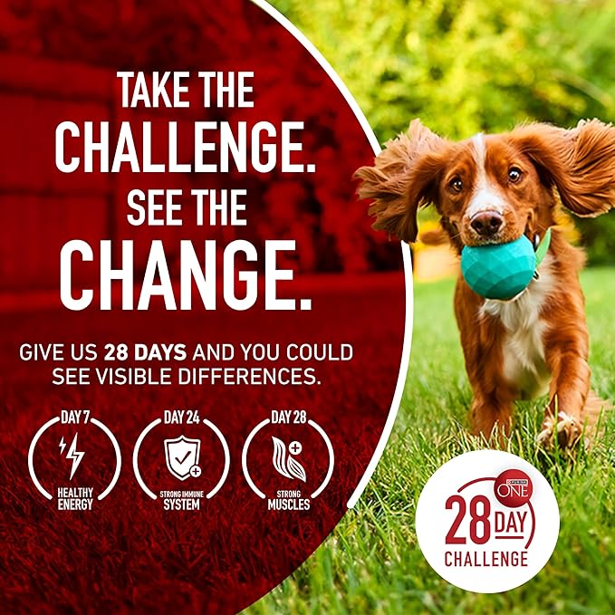 Purina One Small Breed Plus High-Protein Dog Food Lamb and Rice Formula Dry Dog Food - 7.4 lb. Bag