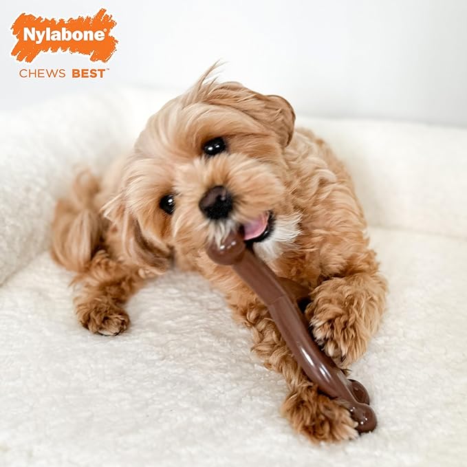 Nylabone Wishbone Flexi Chew Toy for Dogs, Flexible Dog Toys for Moderate & Gentle Chewers, Flavor Medley Flavor, Medium - Up to 35 lbs, 1 Count