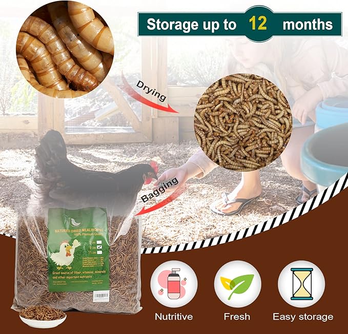 Non-GMO High-Protein Large Dried Mealworms for Chickens, Natural Grubs and Poultry Treats as Chicken Feed,Duck Food, Wild Birds Seed,Fish Food,Reptile Food,Amphibian Food(Mealworms-11LB)