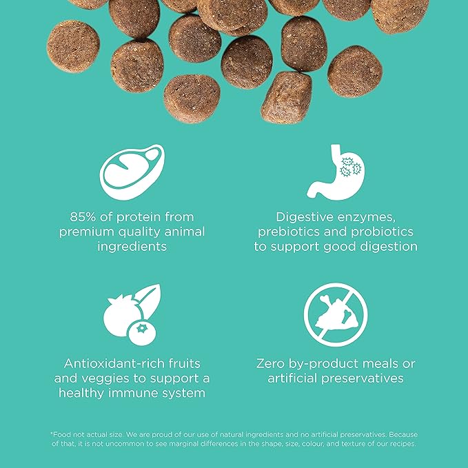 Go! Solutions Carnivore Chicken, Turkey + Duck Grain-Free Dry Adult Dog Food, Our Highest-Protein Kibble Made with Real Meat & Fish, Pumpkin & Probiotics for Good Digestion, 3.5 lb Bag