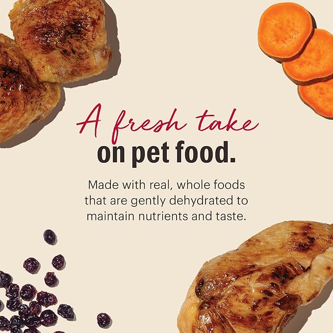The Honest Kitchen Human Grade Dehydrated Grain Free Chicken Cat Food 4 Pound (Pack of 1)