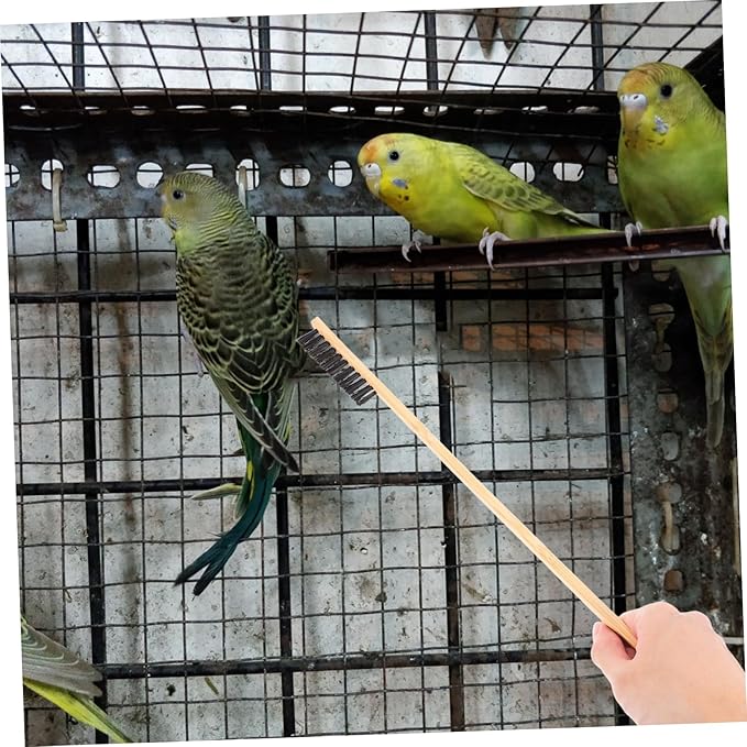 Toddmomy 2pcs Bird Cage Brush Chicken Manure Shovel Set Reptile Cage Cleaner for Pet Supplies