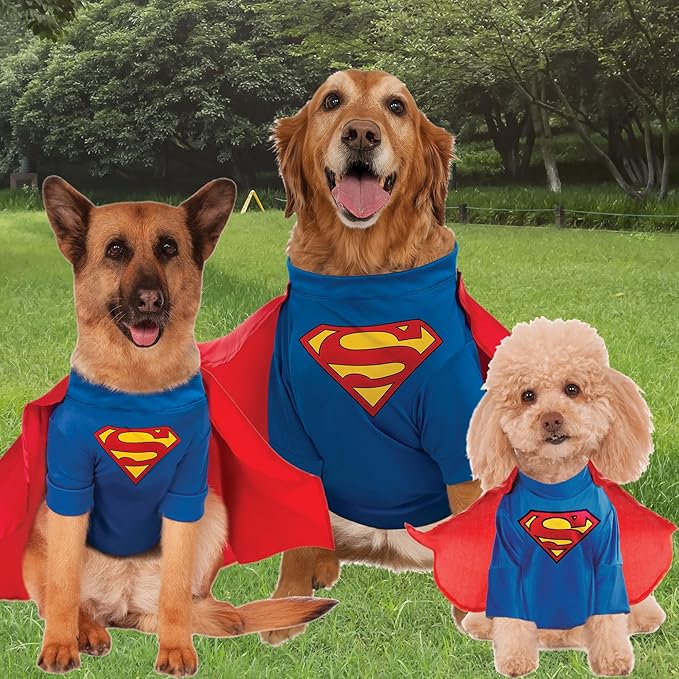 DC Comics Superheroes: Superman Pet Costume for For Dogs or Cats by Rubies, Large