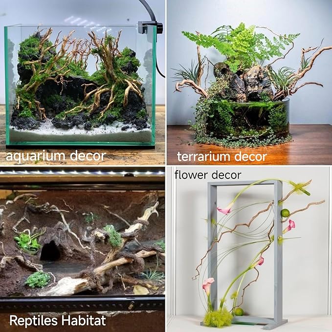 Azil Natural Aquarium Driftwood Root – Driftwood for Aquarium Decor, 170g~0.38lb (14″–16″), Fish Tanks, Terrariums, Aquascaping & Planted Tanks