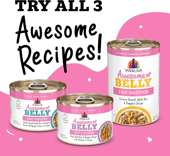 Weruva Awesome Belly, Chicken, White Rice, & Pumpkin, 14oz Can (Pack of 10)