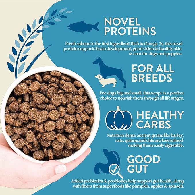 Earthborn Holistic Unrefined Smoked Salmon Ancient Grains & Superfoods All Life Stages Dry Dog Food, Pea-Free Recipe with Quinoa, Pumpkin & Flaxseed, 25 lb Bag