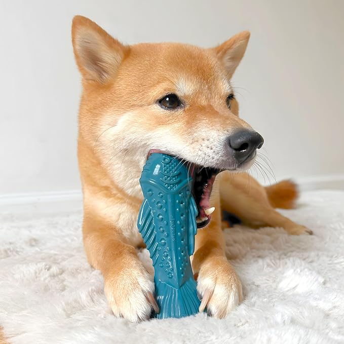 Nylabone Love Our Oceans Textured Fish Power Chew Toy for Dogs, Recycled & Sustainable Chew Bones for Dogs, Dog Toys Made in USA, Salmon Flavor, Medium Dog Toys - Up to 35 lbs, 1 Count
