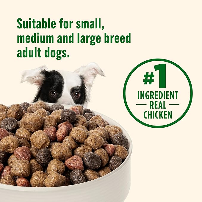 Nutrish Real Chicken & Veggies Recipe Whole Health Blend Dry Dog Food, 28 lb. Bag, Packaging May Vary (Rachael Ray)